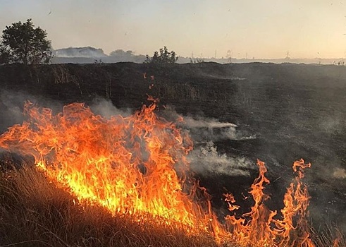 Жечь сухую траву в Армавире запрещено