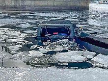 Подросток спас пожилого мужчину и его собаку из ледяного озера