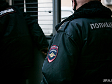 Пермские силовики поймали банду мошенников, действующую под брендом «Яндекс»