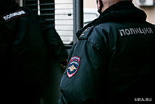 Пермские силовики поймали банду мошенников, действующую под брендом «Яндекс»
