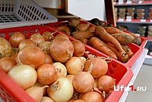 Башстат отчитался о росте цен на продукты