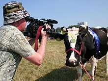 Ольга Абрамова: Удмуртия полностью обеспечит кормами животноводческий комплекс республики в 2024 году