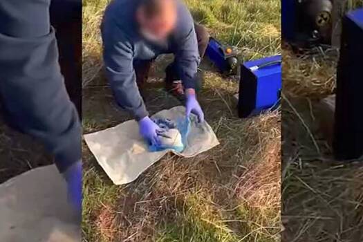 Спецслужбы Украины использовали российские кладбища с неочевидной целью