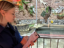 В камчатском зоопарке животных лечили просроченными лекарствами