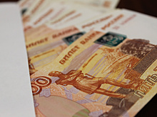 Эксперт оценил новую льготу для многодетных семей Благовещенска