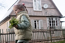 Спрос на аренду загородных домов вдвое выше, чем год назад