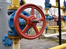 Назван главный покупатель российского газа в ЕС за 2024 год