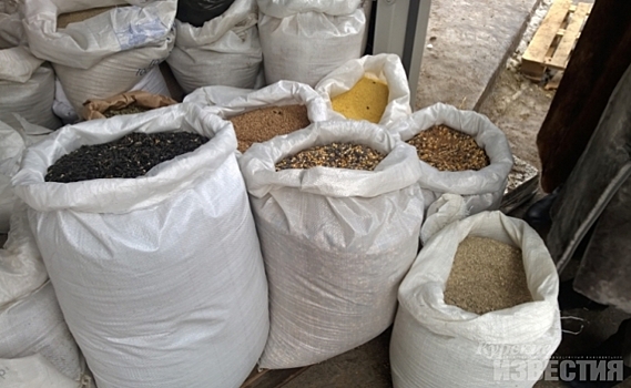 Предприятию из Курской области запретили использовать зерно урожая прошлого года
