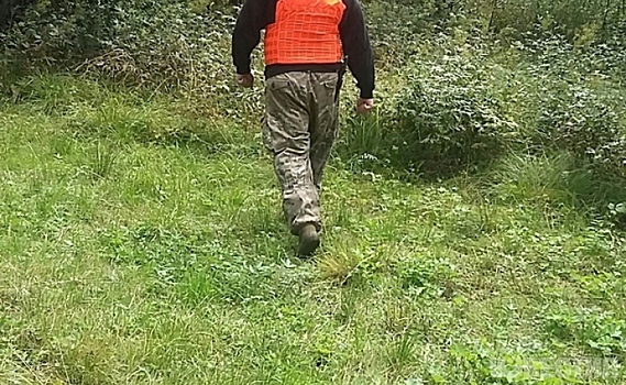 Пропавшая пенсионерка из Курской области найдена погибшей