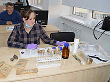 В Новосибирской области завершился четвертый поток проекта Россельхозбанка «Школа фермера»