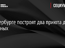 В Петербурге построят два приюта для животных