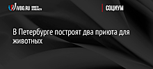 В Петербурге построят два приюта для животных