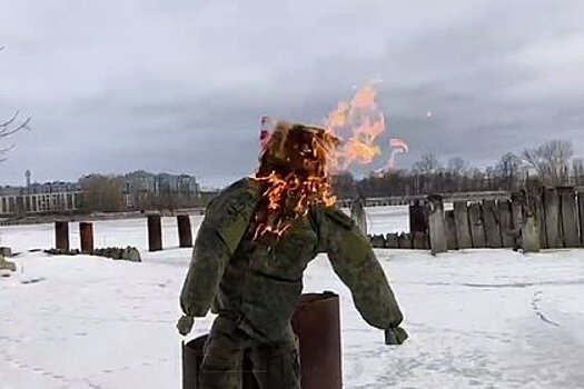 Пацифисту отказались отменять приговор за сожжение чучела в форме ВС России