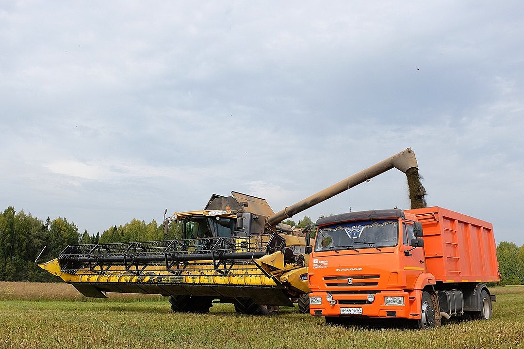 Из Кировской области в Беларусь и Германию вывезли более 500 тонн семян