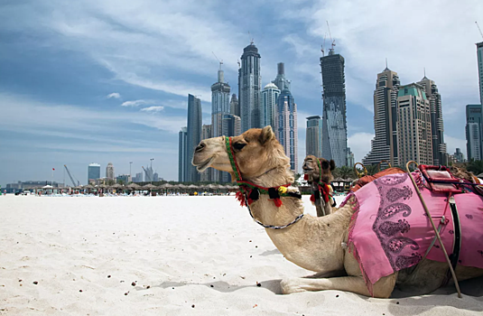 Россиянам раскрыли стоимости летних туров в ОАЭ