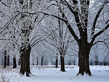В Челябинске из-за аномального мороза ученикам начальной школы отменили уроки