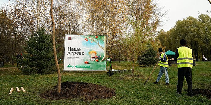 Более 5 тыс. именных деревьев высадили в парках Москвы по проекту "Наше дерево"