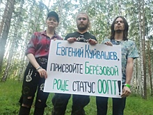Жители Екатеринбурга требуют выполнить решение суда по Березовой роще