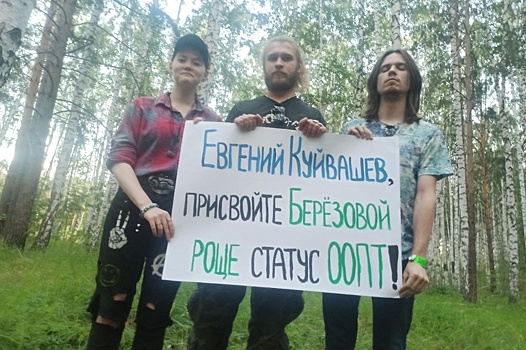 Жители Екатеринбурга требуют выполнить решение суда по Березовой роще