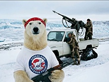 Оборону Гренландии показали в смешном видео