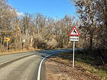 Осторожно, лоси! В Бузулукском бору установили предупреждающие знаки