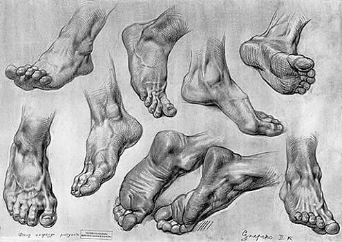 Что можно узнать о человеке по форме пальцев ног