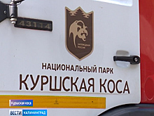Нацпарк «Куршская коса» будут охранять пожарные-добровольцы