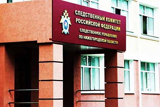 В Нижегородской области возбуждено уголовное дело по факту исчезновения четырехлетнего мальчика