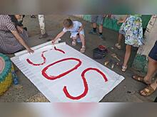 SOS! Жители аварийного дома в Чите обращаются к Путину