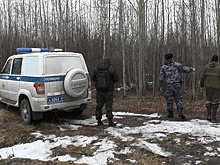 Полиция установила личность женщины, чью голову нашли в Серове возле садов