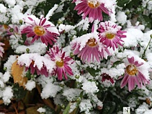 Первый снег в Нижнем Новгороде выпадет в октябре