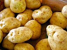 В Картофельном союзе прокомментировали ситуацию на рынке овощей