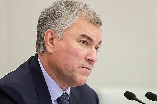 Володин: Обсудим отставку осуждающих спецоперацию руководителей учреждений