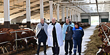 Умная ферма: Лукашенко посетил инновационное хозяйство в деревне Устье