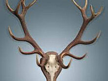 Бывший оперативник рассказал о превращении его коллеги Миши в "ангарского маньяка-чистильщика"