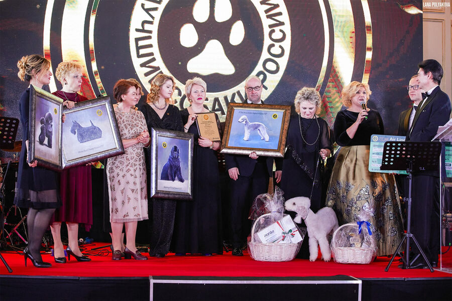 В Москве наградят лучших собак и отличившихся кинологов