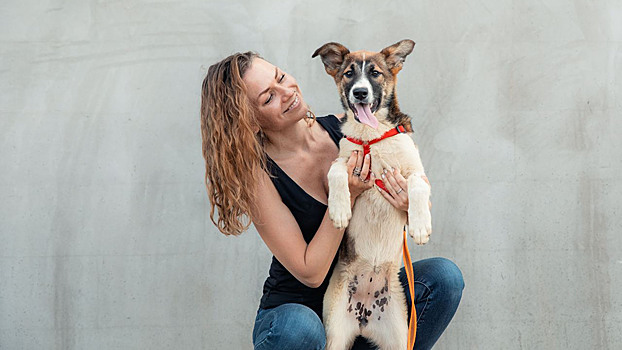 «Беги за другом»: как забег стал стартом новой жизни для бездомных собак