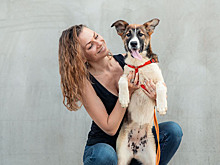 «Беги за другом»: как забег стал стартом новой жизни для бездомных собак