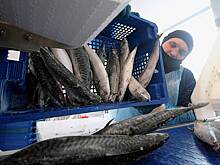 В России резко подорожал один вид рыбы