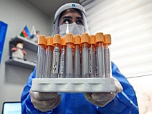 Новый "бразильский" штамм SARS-CoV-2 оказался опаснее "британского"