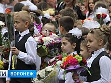 Участники акции «Дети вместо цветов» в Воронежской области собрали 240 тыс. рублей