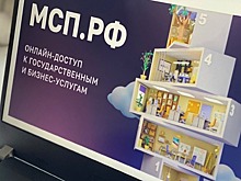 Сервис проектного финансирования для предпринимателей СКФО создан на платформе МСП.рф