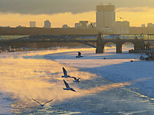 В Москве во вторник ожидается до +3°С