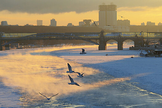 В "Фобосе" спрогнозировали умеренную морозную погоду в Москве до конца года