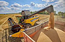 Российское зерно дешевеет, а Украина спорит с соседями из-за агропродукции