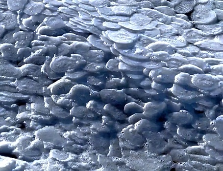 Ледяные «блинчики» наблюдали нижегородцы на Горе-море