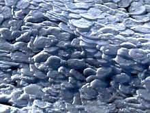 Ледяные «блинчики» наблюдали нижегородцы на Горе-море