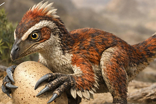 Российские палеонтологи открыли новый вид древнего животного