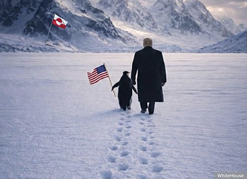 Блогеры высмеяли опубликованное Белым домом фото Трампа с пингвином в Гренландии