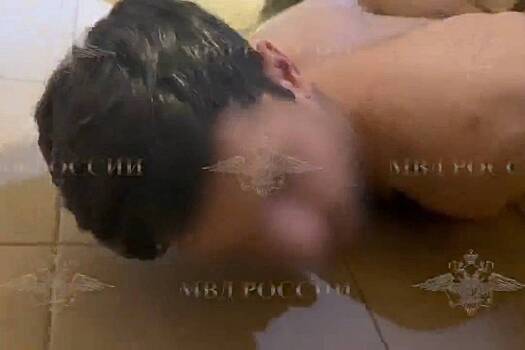 Задержание причастных к исчезновению друга Дурова и его жены в ОАЭ попало на видео